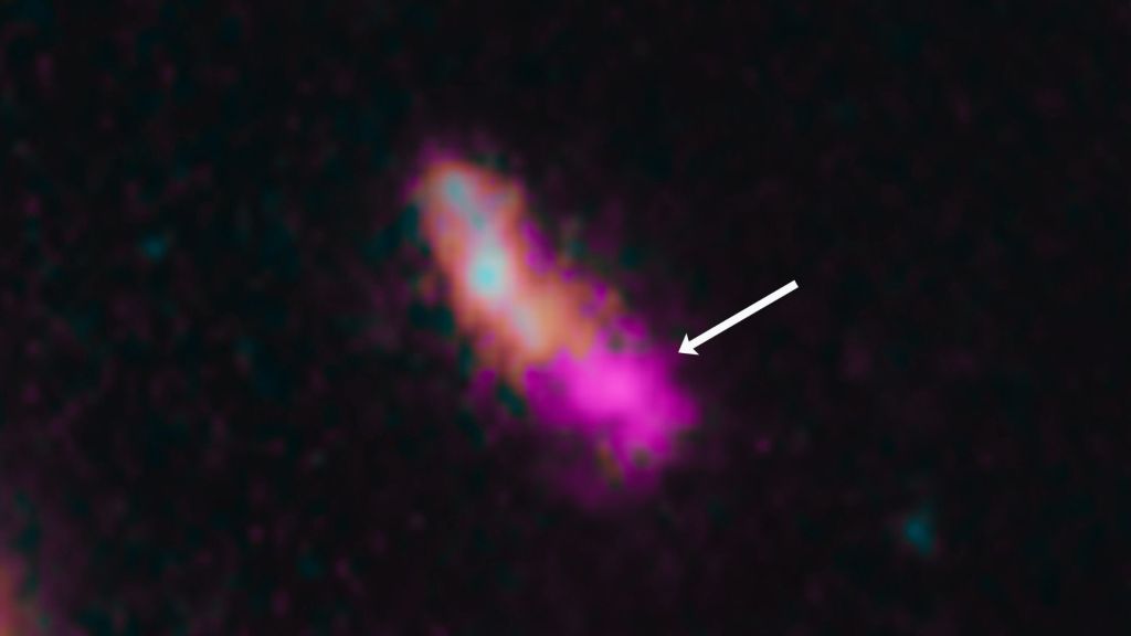 Dark Star candidate JADES-GS-z14-0. (NASA, ESA, CSA, STScI, B. Robertson (UC Santa Cruz), B. Johnson (CfA), S. Tacchella (Cambridge), P. Cargile (CfA)).